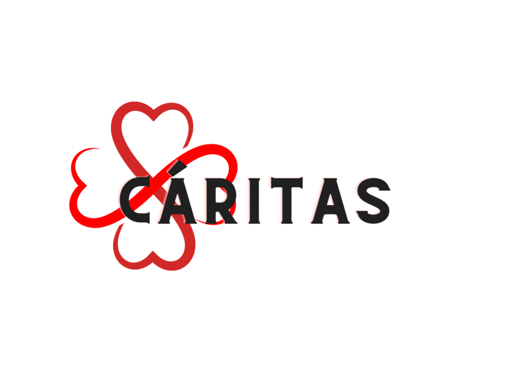 Cáritas madrid