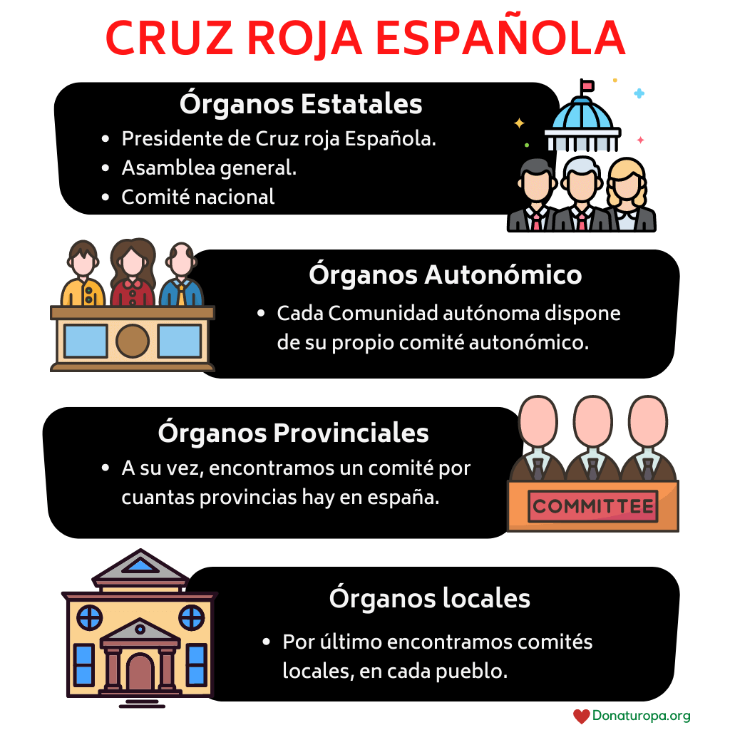 órganos directivos cruz roja. estructura administrativa cruz roja.